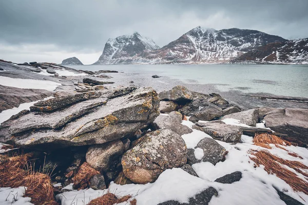 Rocky coast of fjord i Norge — Stockfoto