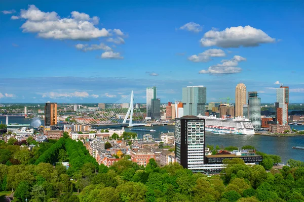 Widok na Rotterdam i most Erasmus — Zdjęcie stockowe