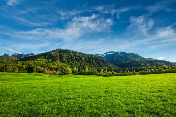 Alpejska łąka w Bawarii, Niemcy — Zdjęcie stockowe