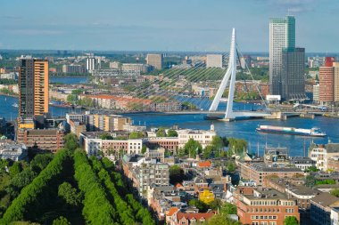 View of Rotterdam city and the Erasmus bridge clipart