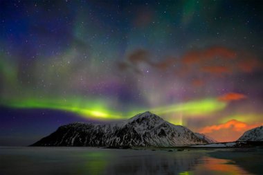 Aurora borealis Kuzey ışıkları. Lofoten Adaları, Norveç