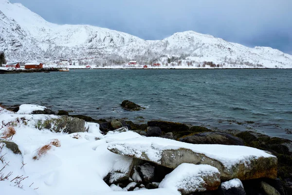 Norveç fiyordu kırmızı rorbu ile Norveç'te kış aylarında evler. — Stok fotoğraf