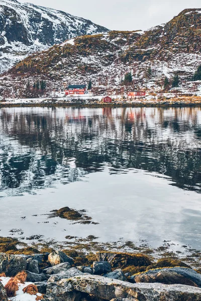 Tradiční Červené Rorbu Domy Břehu Fjordu Sněhu Zimě Lofoten Ostrovy — Stock fotografie