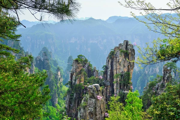 Zhangjiajie bergen, China — Stockfoto