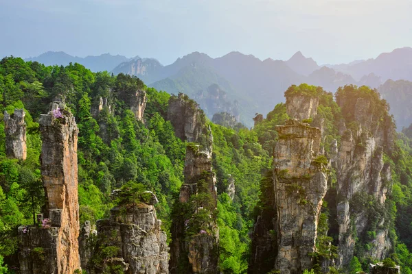 Zhangjiajie bergen, China — Stockfoto