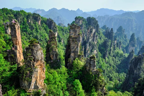 Zhangjiajie bergen, China — Stockfoto