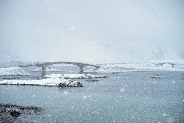 Sněžení na Lofoten ostrovy, Norsko — Stock fotografie