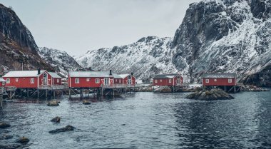 Norveç 'te Nusfjord balıkçı köyü