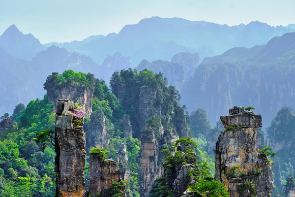 Zhangjiajie bergen, China — Stockfoto