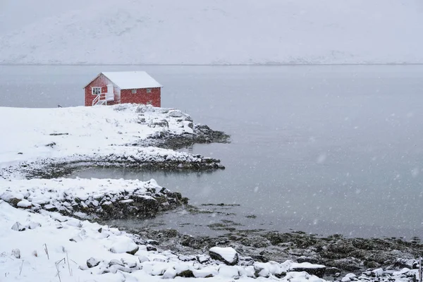 Red rorbu huis in de winter, Lofoten eilanden, Noorwegen — Stockfoto