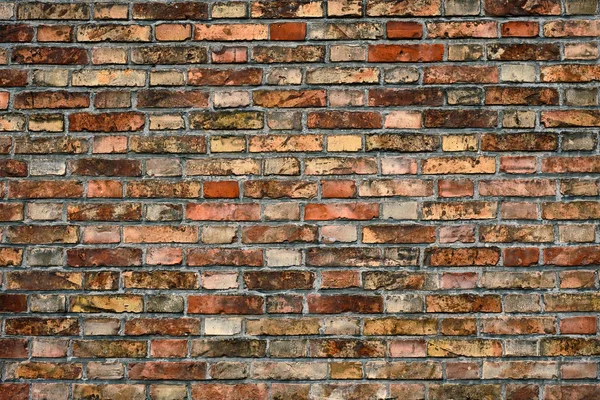 Brick wall texture background — Stock Photo, Image