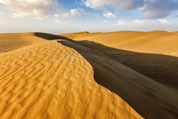 Sanddünen in der Wüste — Stockfoto