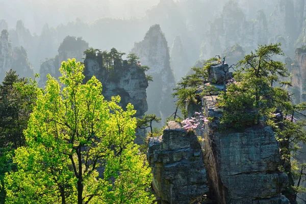 Zhangjiajie mountains, China — Stock Photo, Image