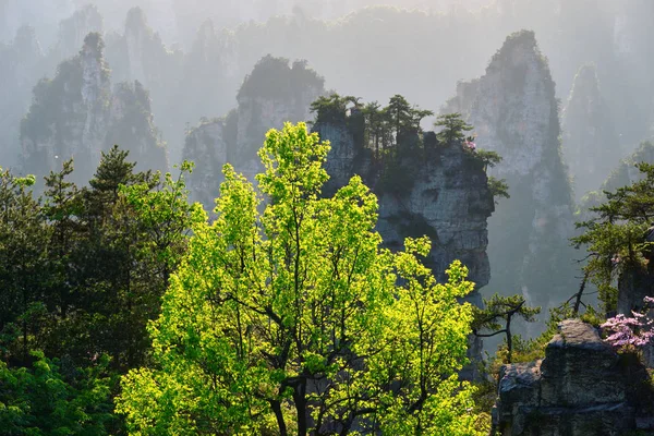 Горы Чжанцзяцзе, Китай — стоковое фото