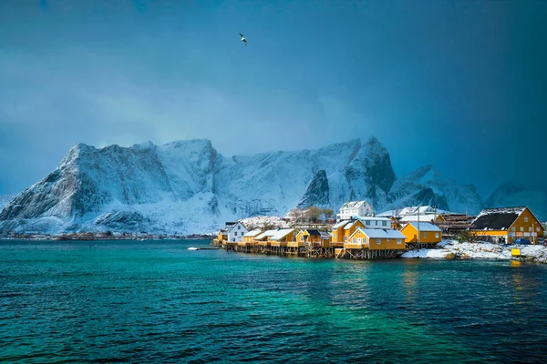 Žluté rorbu domy, Lofoten ostrovy, Norsko — Stock fotografie