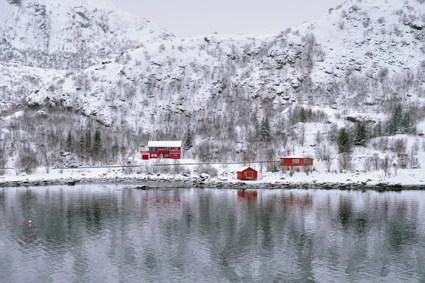 Vörös rorbu házak Norvégiában télen — Stock Fotó