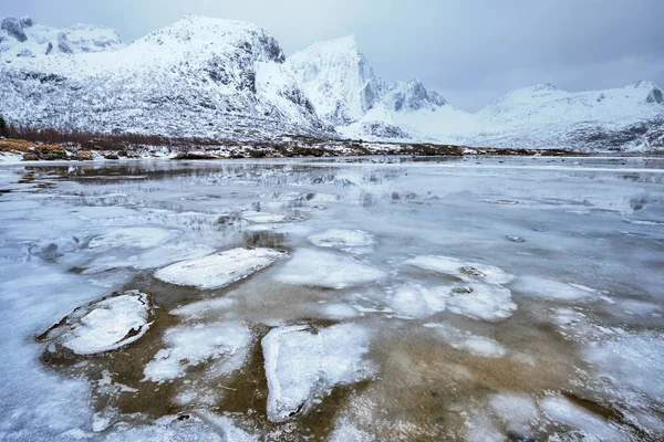 Norwegian fjord in winter — Stock Photo, Image