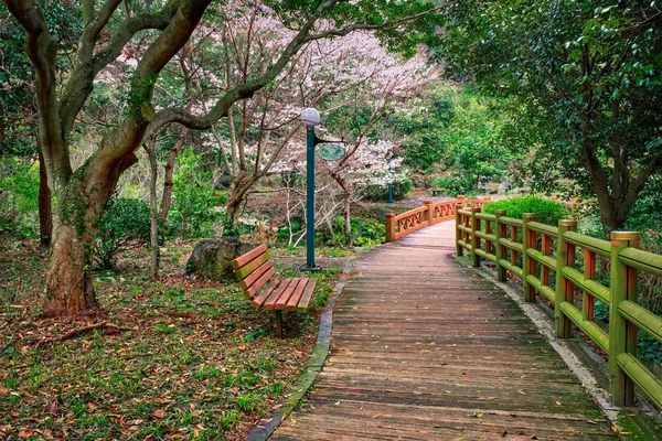 Jeju Olle Trail, Остров Чеджу, Южная Корея — стоковое фото