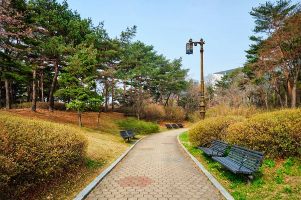 Yeouido Park em Seul, Coréia — Fotografia de Stock