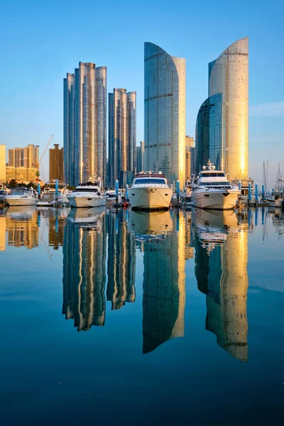 Busan marina with yachts on sunset, South Korea