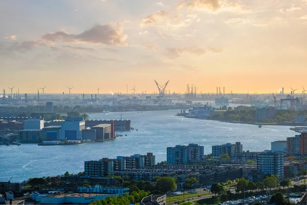 Pohled na přístav Rotterdam a řeka Nieuwe Maas — Stock fotografie