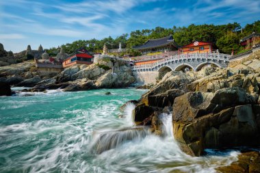 Haedong Yonggungsa Tapınağı. Busan, Güney Kore