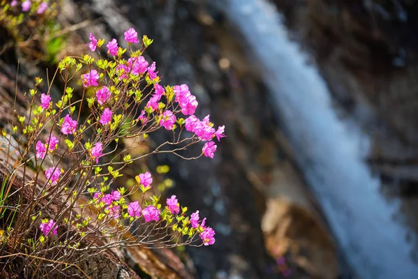 Biryong Falls watrefall — Stok fotoğraf