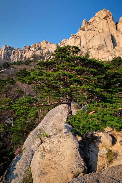 Ulsanbawi rock w Parku Narodowego Seoraksan, Korea Południowa — Zdjęcie stockowe