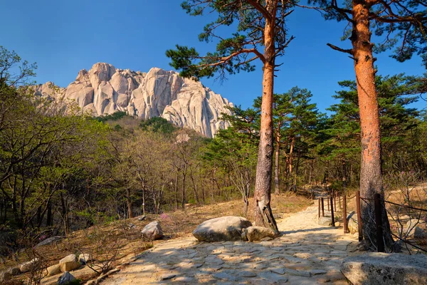 ウルサンバウィ岩韓国雪岳山国立公園 — ストック写真