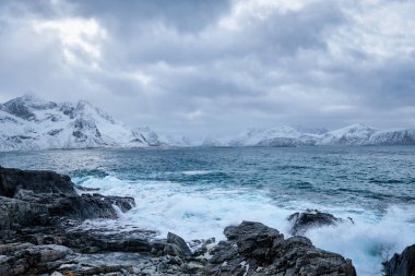 Norveç 'in Lofoten Adaları' nın kayalık sahillerinde Norveç Denizi dalgaları