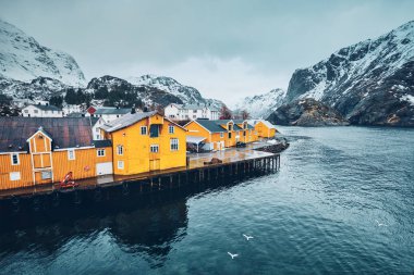 Norveç 'te Nusfjord balıkçı köyü