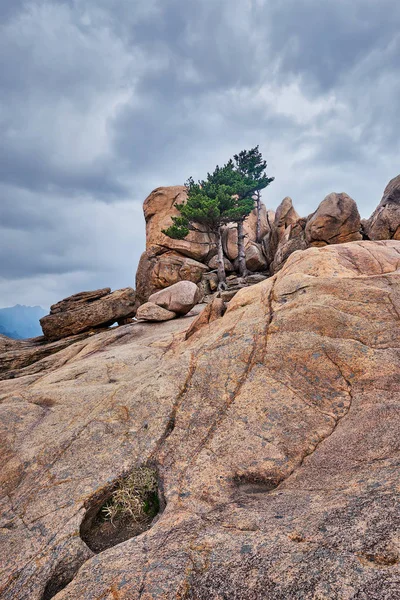 Roccia con pini nel Parco Nazionale di Seoraksan, Corea del Sud — Foto Stock