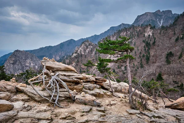 Skály a kameny v Seoraksan National Park, Jižní Korea — Stock fotografie