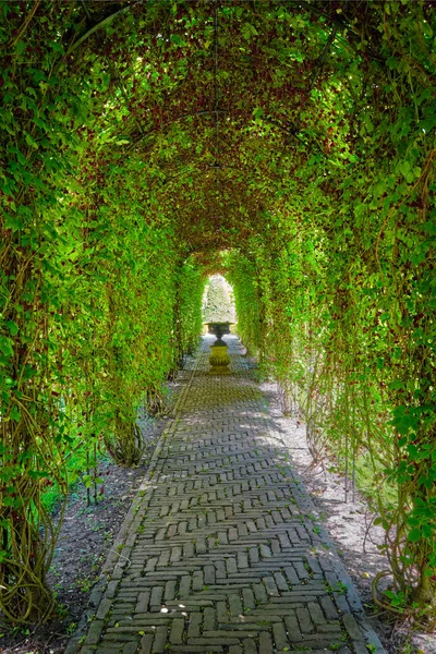 Verde berceau pergolato percorso giardino invaso — Foto Stock