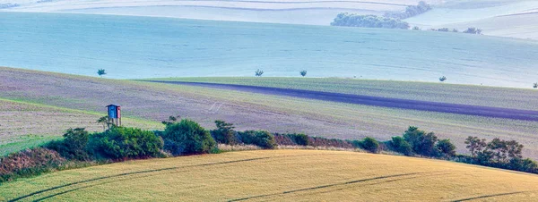 Моравский пейзаж с хижиной охотничьей башни — стоковое фото