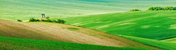 Moravian rolling landscape with hunting tower shack — Stock Photo, Image