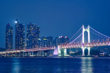 Gwangan Köprüsü ve gece gökdelenleri. Busan, Güney Kore