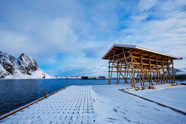 Kışın balık morina balığı için kurutulmuş gevrek. Lofoten Adaları, Norveç