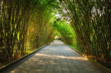 Wangjianglou park. Chengdu, Sichuan, Çin