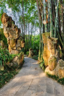 Park Chengdu, Çin