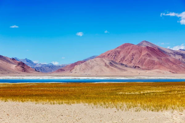 Salt lake Tso Kar in Himalayas, Ladakh — Stock Photo, Image