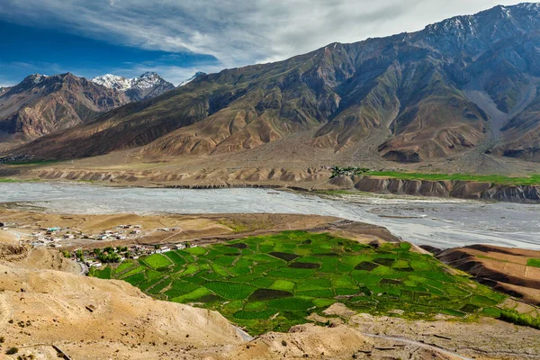 Hindistan, Himalayalar 'daki Spiti vadisi ve Spiti nehri manzarası — Stok fotoğraf