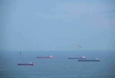 Kargo gemileri denizde ve martılar havada uçuyor.