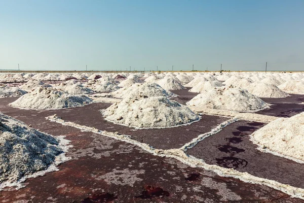Mina de sal en el lago Sambhar, Sambhar, Rajastán, India —  Fotos de Stock