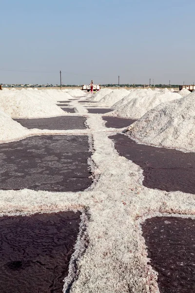 Mina de sal en el lago Sambhar, Sambhar, Rajastán, India —  Fotos de Stock