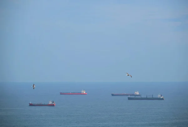 Cargo ships in sea and seagulls flying in the air — Stock Photo, Image