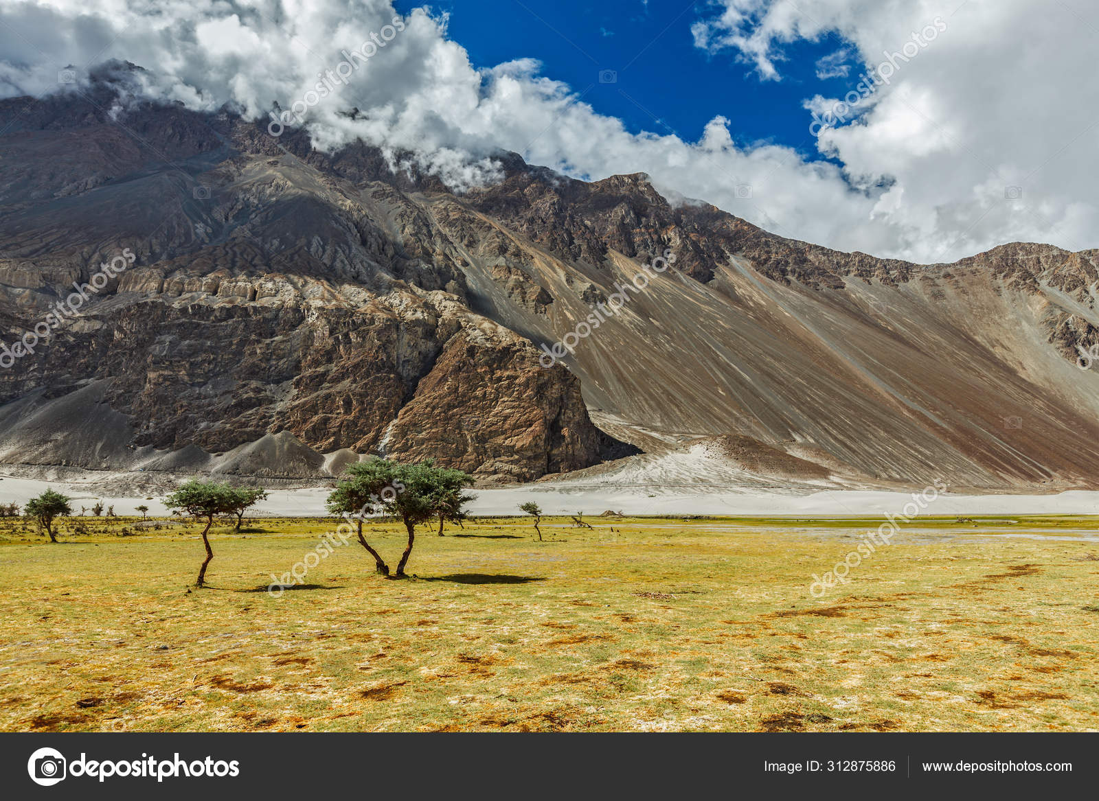 Paisagem do vale de Nubra. Hunber, Nubra Valley, Ladakh, Índia fotos,  imagens de © DmitryRukhlenko #312875886
