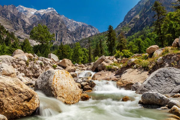 Arroyo de montaña en Himalaya. — Foto de Stock