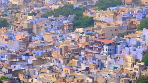 Jodhpur la vista aérea de Blue City. Casas pintadas de azul y aves volando en la mañana por encima de las casas brahmin, vista desde el Fuerte Mehrangarh, Rajastán, India. Cámara horizontal pan — Vídeo de stock