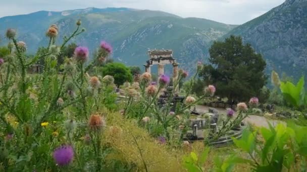Tholos Met Dorische Zuilen Het Heiligdom Van Athena Pronoia Tempelruïnes — Stockvideo
